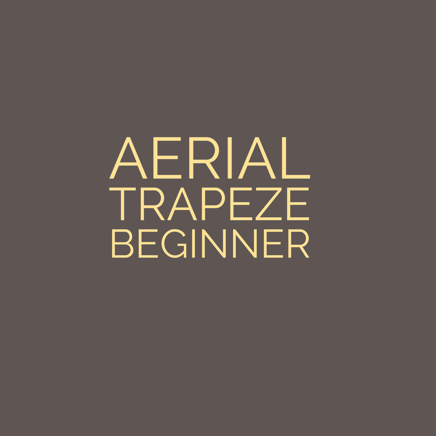 Trapeze Beginner - Feb 2024