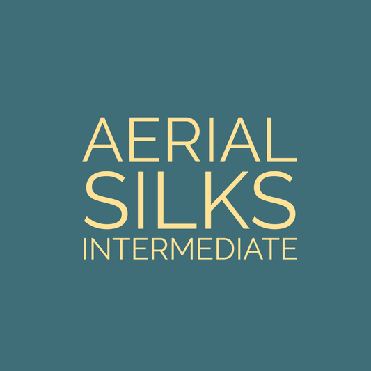 Silks Intermediate - Feb 2024