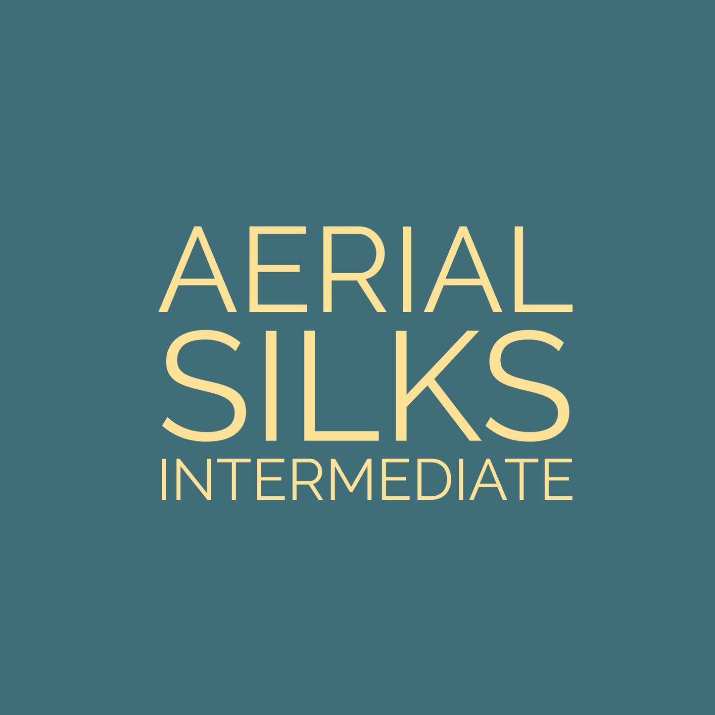 Silks Intermediate - August 2024