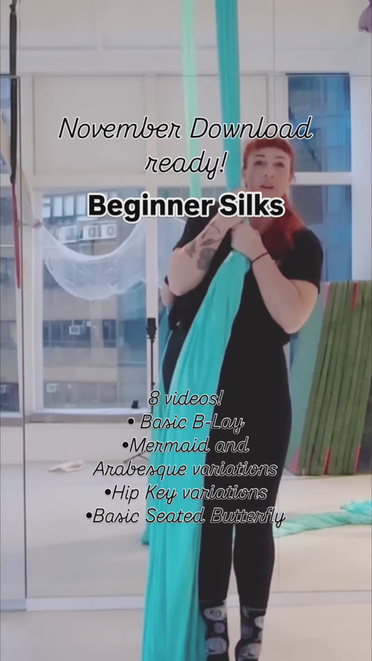 Silks Beginner- PreInter - November 2024