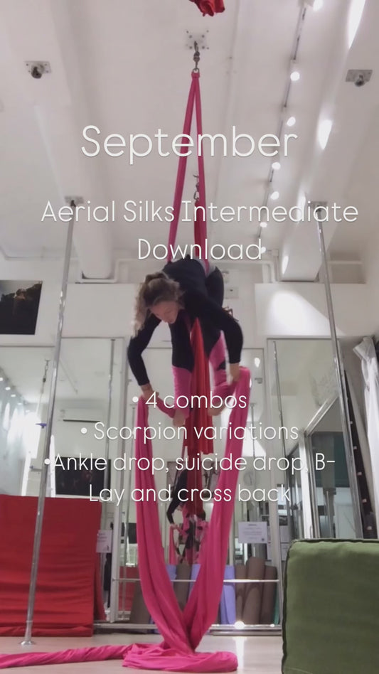 Silks Intermediate - September 2024