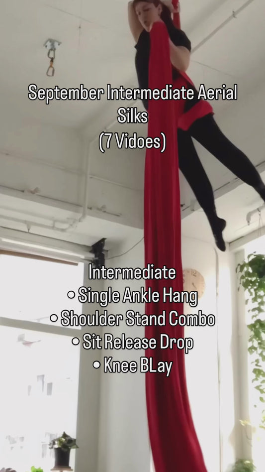 Silks Intermediate and Inter-Advanced - September 2025