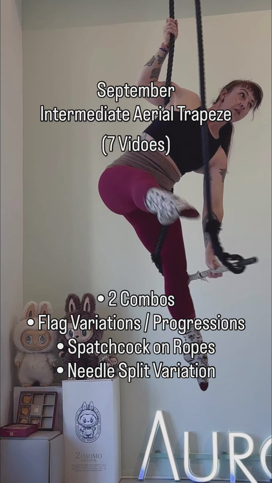 Trapeze Intermediate - September 2025