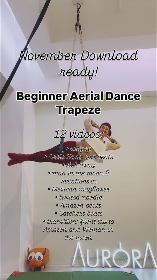 Trapeze Beginner - November 2024