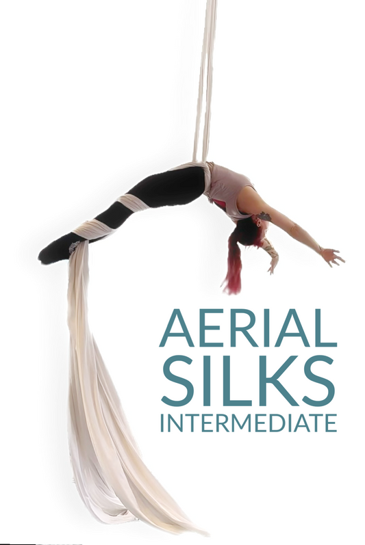 Silks Intermediate - March 2024